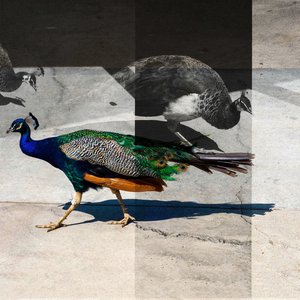 O.P.E.N. - Single