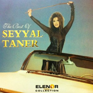 The Best Of Seyyal Taner