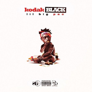 KODAK BLACK - Slayed Lyrics - Zortam Music