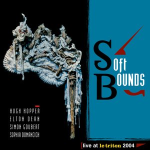 Soft Bounds 的头像