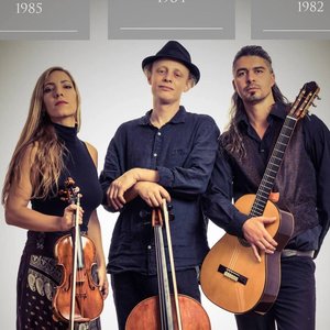 Wild Strings Trio 的头像