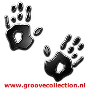 Avatar for The Groove Collection