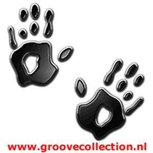 The Groove Collection 的头像