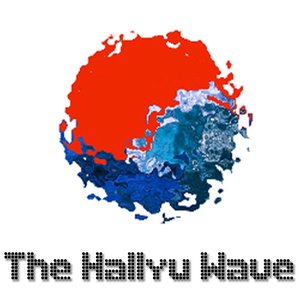 Image for 'The Hallyu Wave'