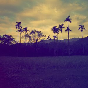 Forgotten Field