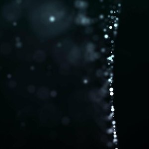 The Reactance Bias