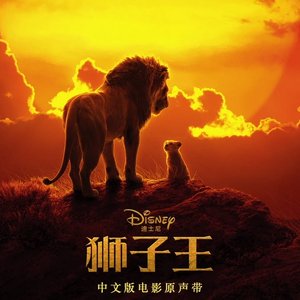 Shuang Ding 的头像