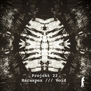 Haruspex / Void