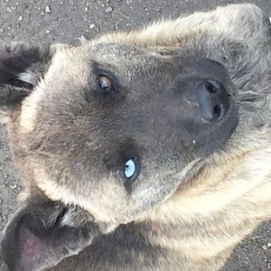 жизнь хуйня 的头像