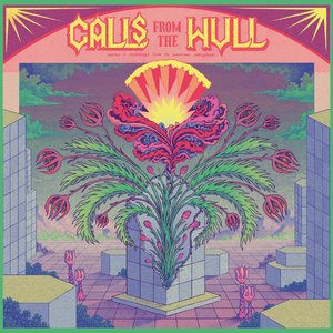 Calls from the Hull Vol II (Another 11 recordings from the Rotterdam Underground)