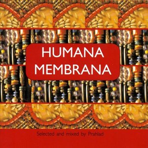 Humana Membrana - Step By Step