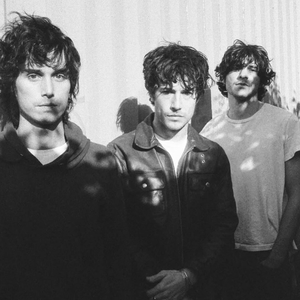 Wallows