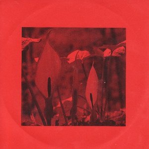 Remains cover