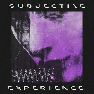 Subjective Experience