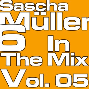 6 In The Mix Vol. 05