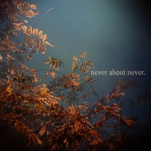 Never Shout Never.