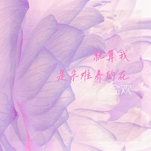 就算我是朵难养的花