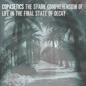 The Stark Comprehension of Life in the Final State of Decay