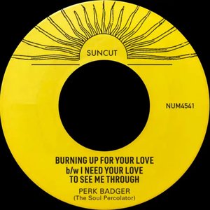 Burning Up For Your Love b/w I Need Your Love To See Me Through