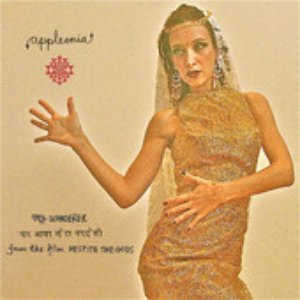 My Wanderer (Ghar Aya Mera Pardesi)