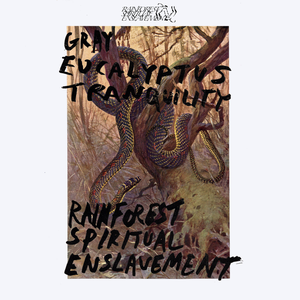 Album cover: Gray Eucalyptus Tranquility by Rainforest Spiritual Enslavement