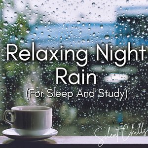 Relaxing Night Rain (For Sleep And Study)