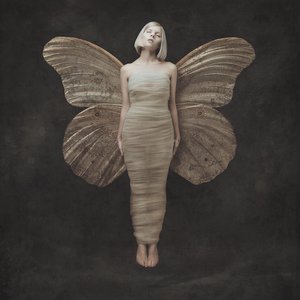 'All My Demons Greeting Me As A Friend - Deluxe' için resim