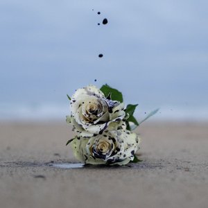 ROSES WILT
