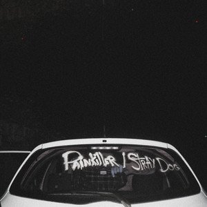 Painkiller / Stray Dog