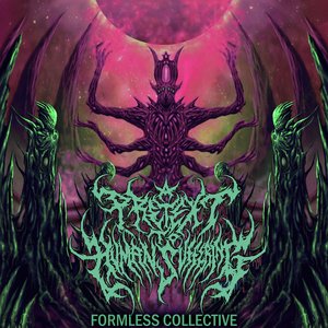 Formless Collective - Single