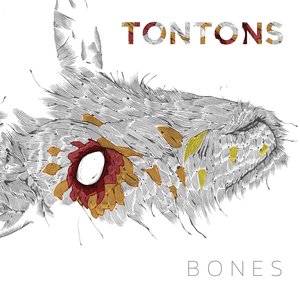 Bones