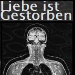 Liebe ist Gestorben 的头像