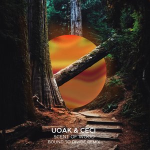 Scent of Wood (Bound to Divide Remix)