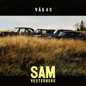 Väg 45