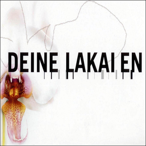 Deine Lakaien - May Be Lyrics - Zortam Music