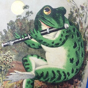 Immagine per 'The Shakespearean Frog'