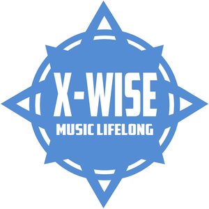 X Wise 的头像