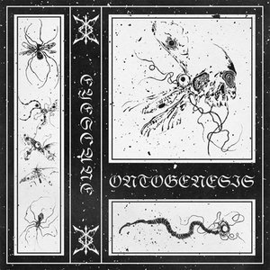 ONTOGENESIS