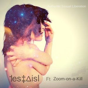 Image for '˦eS‡∆iSL & Zoom-on-a-Kill'