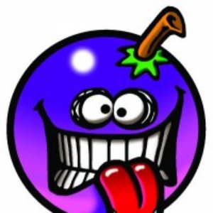 Toxic Funk Berry 的头像