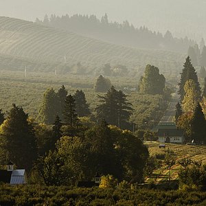 Oregon Home