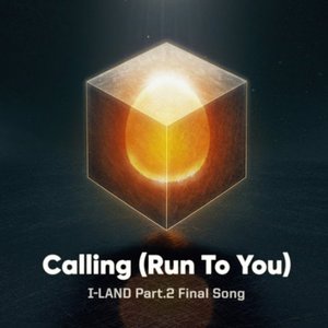 Calling (Run To You)