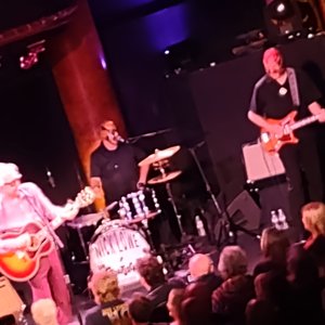 Nick Lowe & Los Straitjackets 的头像