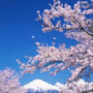 平井康三郎 的头像