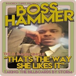 Image for 'Boss Hammer'