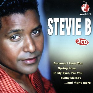 The World of Stevie B