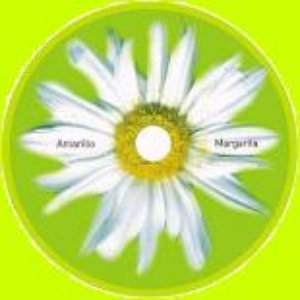 amarillo - margarita