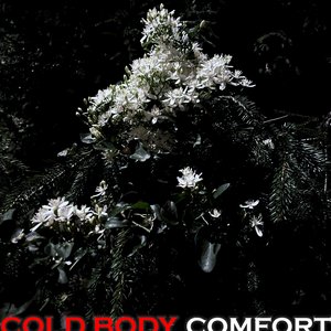 Comfort