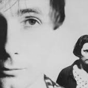 “Stereolab/Nurse With Wound”的封面