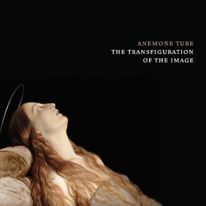 The Transfiguration Of The Image